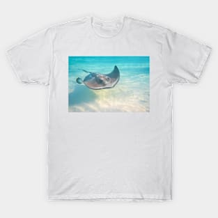 A Stingray Swimming T-Shirt